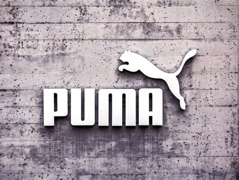 Ontstaan uit een broederruzie: Puma e